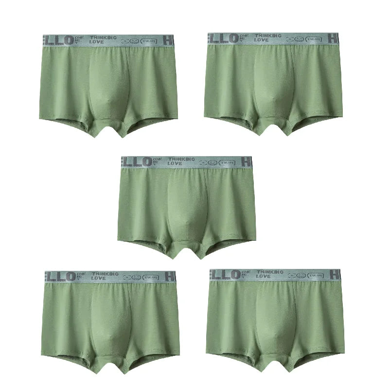 Quick-Dry Stretch Boxer Trunks - Multi-Pack Trend Underwear